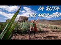 Cómo hacer la RUTA DEL MEZCAL más chida de Oaxaca 4K I Mariel de Viaje