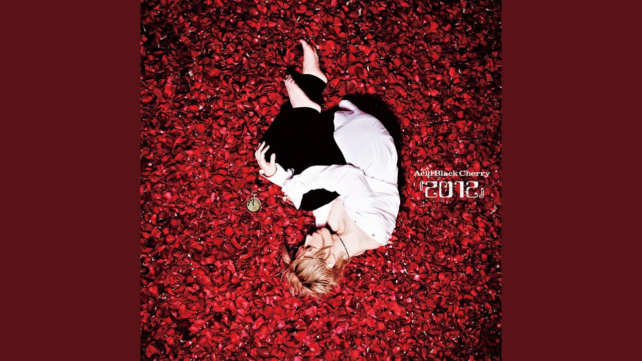 I専用様　Acid Black Cherry Acid Black Cherry：黒猫～Adult Black Cat～（CD） SINGLE / CD