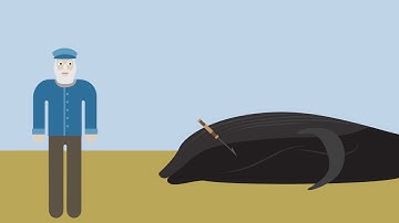 Ghen v. Rich Case Brief Summary | Law Case Explained