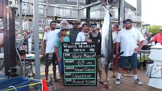 Best fishing story ever told- Millionaires for a Day: Underdog's Story of the 2018 White Marlin Open