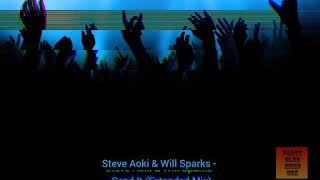 Steve Aoki & Will Sparks - Send It (Extended Mix) Resimi