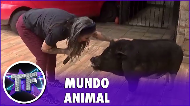 Ex-BBB Vanessa Mesquita apresenta seu porco de estimação: “Era meu sonho ter um porco”