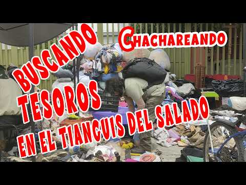 Buscando Tesoros en