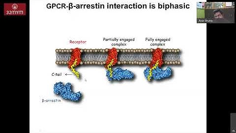 Structure, Function and Modulation of G Protein-Coupled Receptors