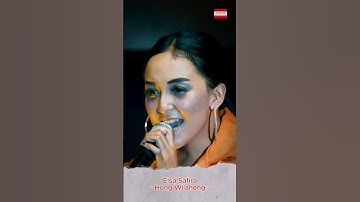 Elsa Safira - Hong Wilaheng #dangdut #dangdutjawatimur