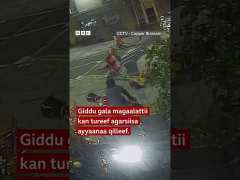 Hattuun Osoo Ashaangulliitii Hatuu Kaameeraadhaan Qabame BBC News Afaan Oromoo