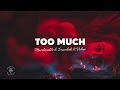 Marshmello x Imanbek - Too Much (Lyrics) ft. Usher