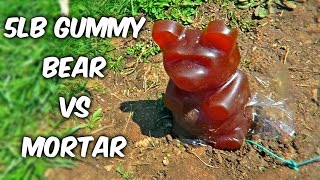 5lb Gummy Bear Vs Mortar
