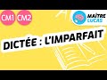 Dictée L Imparfait CM1 CM2 Cycle 3 Français Orthographe 