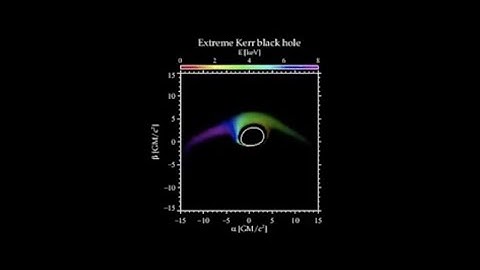 Black hole disk