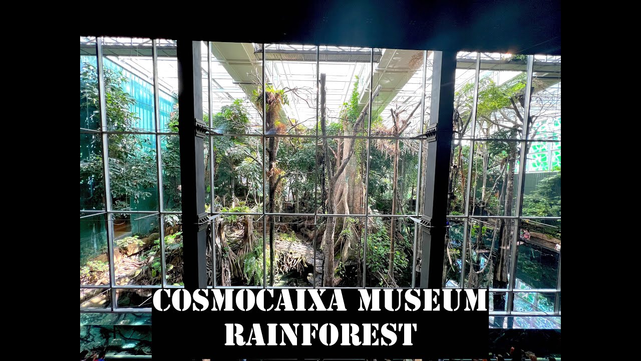 CosmoCaixa Museum Tour (Barcelona)