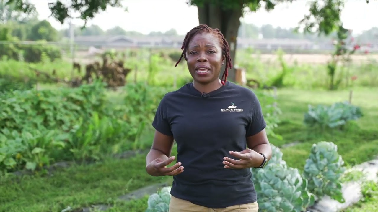 Lashawndra Robinson Black Farm Street