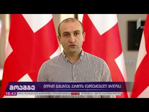 გიორგი გახარიას პარტიის დამფუძნებელი ყრილობა - შეფასებები პოლიტიკურ სპექტრში