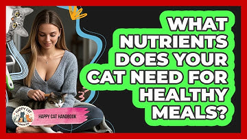 What Nutrients Does Your Cat Need For Healthy Meals? - Happy Cat Handbook