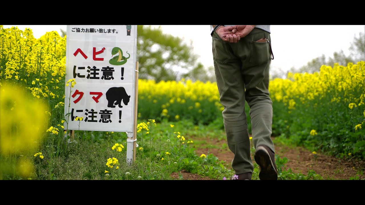 三ノ倉高原 菜の花畑 Youtube