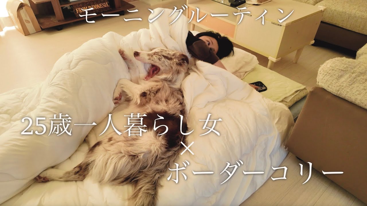 ２５歳一人暮らし女とボーダーコリーののんびりモーニングルーティーン