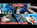 Cichlid, Carp, Angel, Golden  Fish Farm in Kolathur Chennai @ Low price, / வண்ணமயமான மீன் பண்ணை..