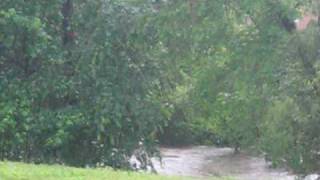 MVI_0047.AVI