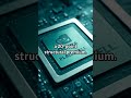 Company Stock - AI Infrastructure Demand Rewrites Valuations - Semiconductor dominance is