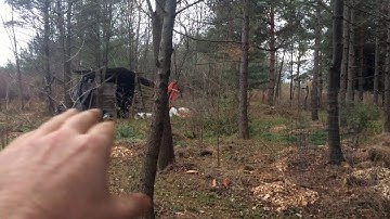 Orchard Design Series - Part 1: Intro and Concept