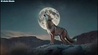 Eres un sueño - los temerarios audio de lobo 🐺 {video oficial original}