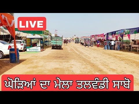 🔴LIVE Talwandi Sabo Horse Mela • ਘੋੜਿਆਂ ਦਾ ਮੇਲਾ ਤਲਵੰਡੀ ਸਾਬੋ
