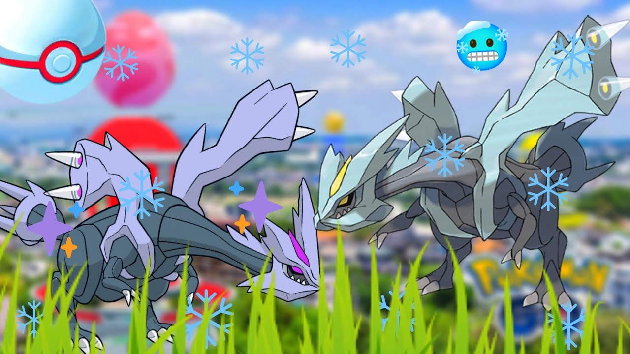 Pokepron Live