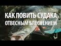 ЛОВЛЯ РЫБЫ СУДАК с ЛОДКИ ОТВЕСНЫМ БЛЕСНЕНИЕМ - СОВЕТЫ