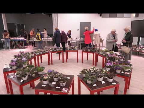20.05.2022 - Tallinna Botaanikaaias  on  vaatamiseks sajad santpooliad