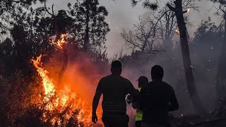 Algérie : au moins 34 morts, dont 10 militaires, dans de violents incendies