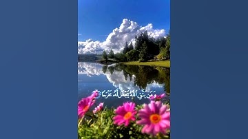 ومن يتق الله يجعل له مخرجا ( القارئ: شريف مصطفى)