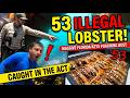 Massive Lobster Poaching Bust!!!