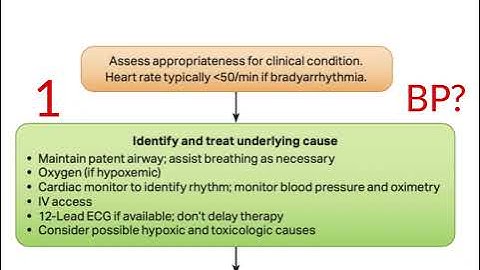 Bradycardia Management