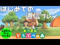 【あつまれ】初めてのローカル通信プレイ!【どうぶつの森】