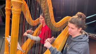 Boston Philharmonic Youth Orchestra Tour to South Africa 2023: Harpists