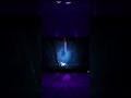Few funny videos #funnyimages #roblox #helpmemakethismakesense 