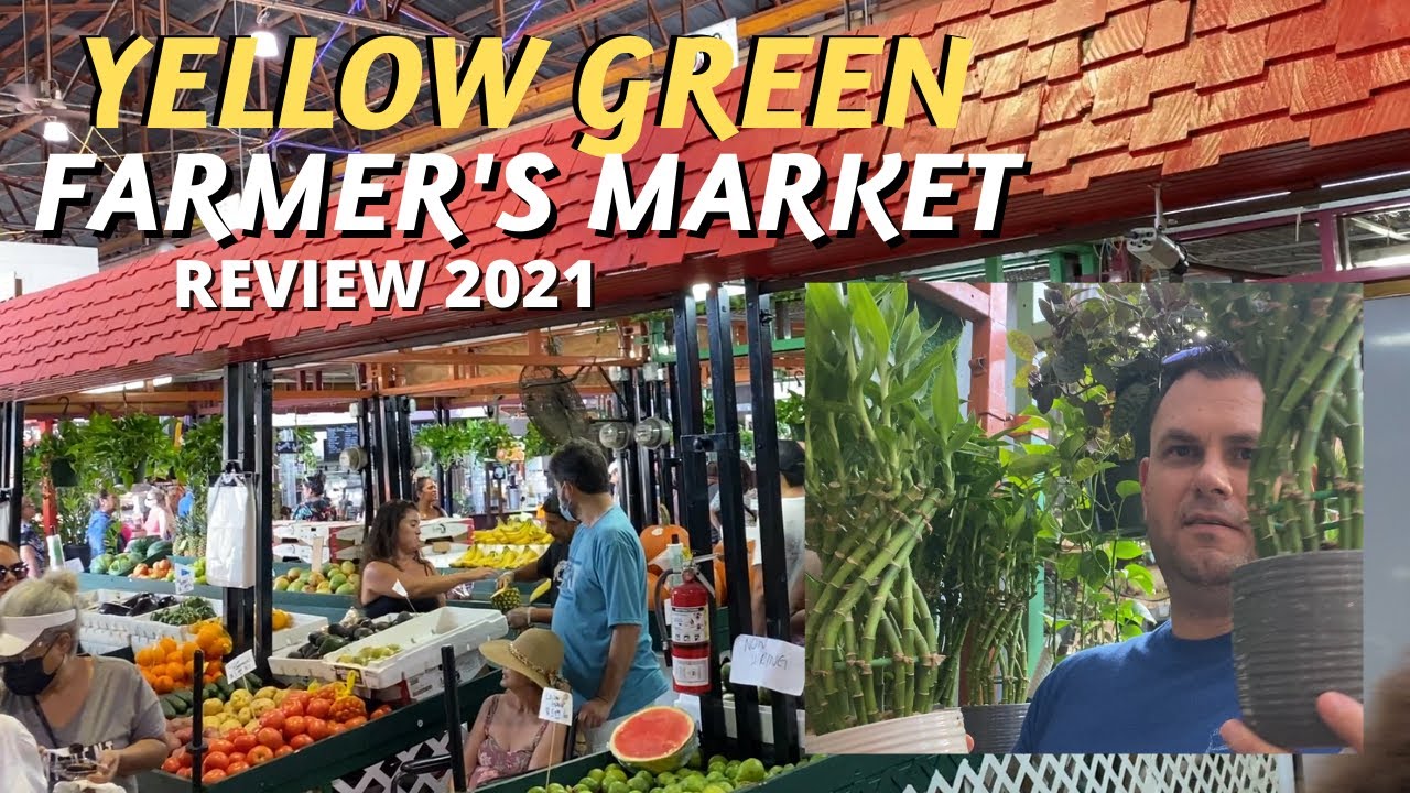 Yellow Green Farmer's Market Hollywood FL 2021 YouTube