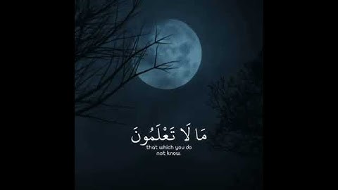 القرآن الكريم القارئ أنس شهاب
