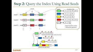 P&S Genomics - Lecture 4: Fundamentals of Sequence Search and Alignment (Fall 2023)