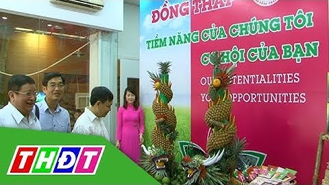 Khai mạc chương trình xúc tiến đầu tư và thương mại tỉnh Đồng Tháp | THDT