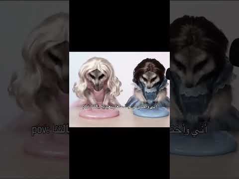 اني واختي من جنا زغار الامام علي ع الامام الحسين ع يافاطمه شتراك و لايك