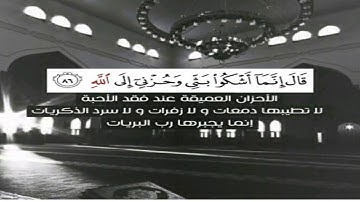 11  تأمل حزن يعقوب على إبنه تلاوة تبكي القلوب للشيخ خالد الجليل من نوادر التلاوات