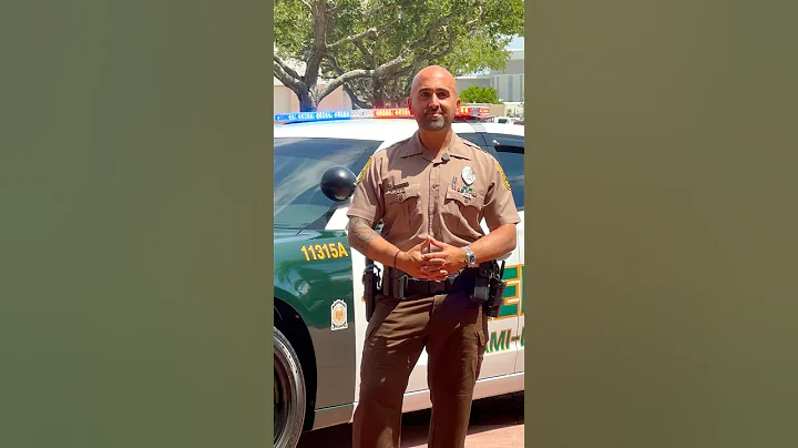 Cruise Lights vs. Patrol Lights