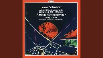 Wind Octet in F Major, D. 72: III. Finale. Allegro
