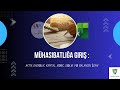 Mühasibatlığa Giriş : Aktiv, Öhdəlik, Kapital, Xərc, Gəlir və Balansın İzahı | Yeni Başlayanlar Üçün