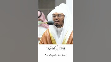 سورة الشمس للشيخ ياسر الدوسري الجزء 2 #تلاوات #سورة_الشمس #ياسر_الدوسري