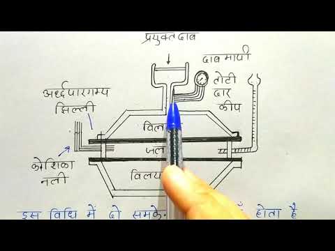 वीडियो: बर्कले सीए में करने के लिए चीजें - एक दिन या सप्ताहांत के लिए