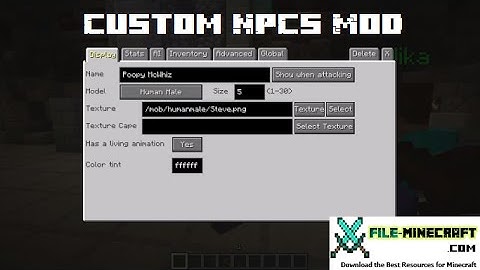 Custom NPCs 1.15.2/1.12.2/1.7.10 mod list mc wminecraft.net