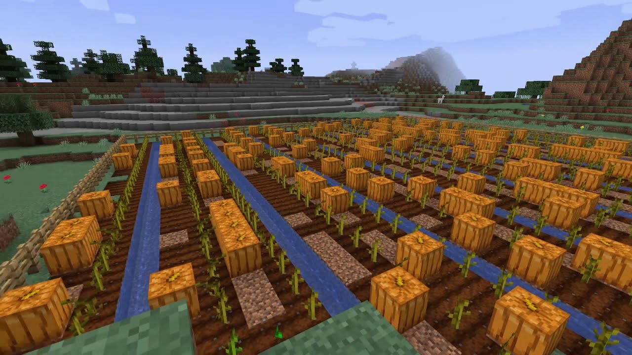 How do Pumpkin grow in Minecraft - YouTube