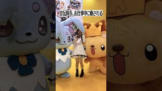 綾瀬ことり宣伝隊長 お仕事中に癒される #ajキンレコ #aj2026 #綾瀬ことり